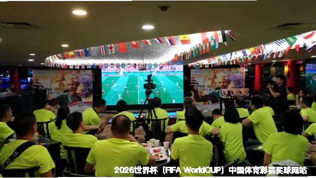 FIFA 中国平台介绍